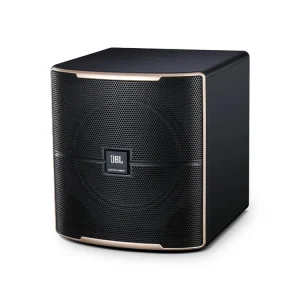 Professional 12 inch Active Subwoofer Jxx Pasion12SP Audio Sound Equipment Bass Speaker 300W for Home & Professional KTV