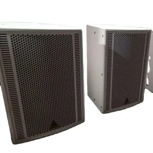 Professional 12 inch Performance Active Speaker Suitable for Medium and Small Outdoor and Indoor Performances
