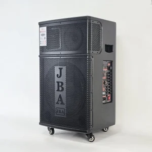 Professional 15 Inch Outdoor K Performance Audio Subwoofer High Power RGB LED for Bluetooth Speaker Battery for Outdoor