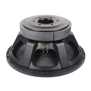 Professional 21 Inch PA Subwoofer Speaker for Outdoor Use