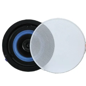 Professional 30W Smart Ceiling Speaker Coaxial Speaker