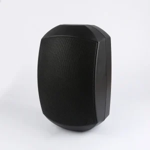 Professional 5.25 Inch Woofer 30W Two-way Aluminum Grill Passive Speaker IP65 Public Address System Wall Mounted Speaker