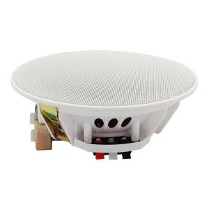 Professional 6 Inch Two Way High Definition HIFI Ceiling Speaker for Home Theatre Mosque Background Music PA Sound System