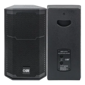 Professional Audio 8/10/12/15 Inch Two Way Passive Full Range Conference Speaker