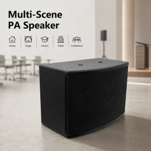 Professional Audio PA System 50W Karaoke Speaker for Home Stage Event School Hotel Conference