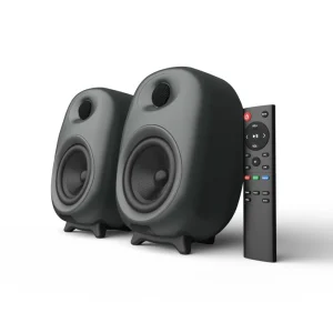 Professional Audio Sound System Commercial Indoor Speaker For Home And Long Life And Exquisite Handwork OEM ODM
