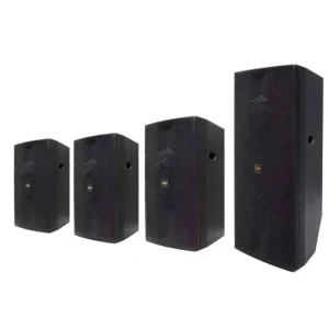Professional Audio Supplier Pa Dual 15 Inch Passive Stage Speaker Pa System Speaker Professional