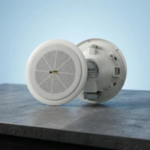 Professional Ceiling Speaker 5 Inch 5W Full Range Audio for Home Theater Public Address System