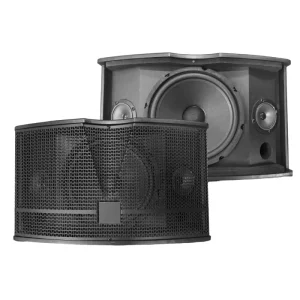 Professional Club Audio 10 Inch DJ Karaoke Speaker for Disco Conference Full Range Loudspeaker System