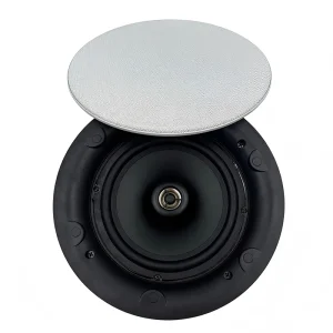 Professional Custom 25W 40W 2 Way 6.5 Inch Smart Ceiling Speakers with ABS Shell for School and Meeting Room Public System
