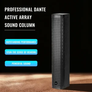 Professional Dante OEM Active Array Sound Column DSP PA Sound System Waterproof Wall Mounted Network with Software for Church