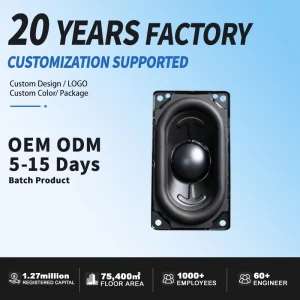 Professional Grade 2.5 Inch Speaker 4Ω 20W Full Range Accessories for Factory Direct OEM ODM Car Audio Sound System
