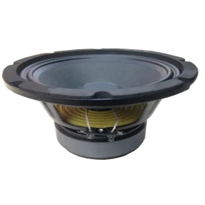 Professional Instrumental Speaker 8 10 12 15 Inch Bass PA Speaker With High Performance