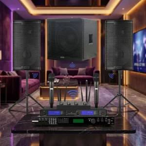 Professional Karaoke Audio Kit with Wooden Speakers & 12″ Subwoofer Dual Wireless Microphones for V5.2 Display Screen