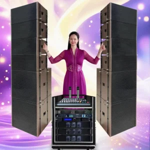 Professional Line Array Sound System Set 8 Tops and 4 Bass with Processor for Large Scale Concerts