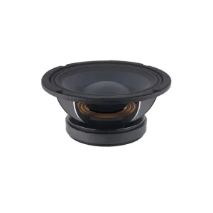 Professional Loudspeaker 10inch XPM 10MR65D Midbass Midrange Speaker Audio for Car Speaker