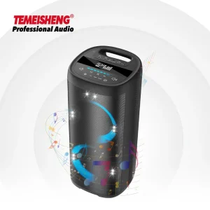 Professional Party Home Theater Rechargeable Wireless 5.3 RGB LED Portable Speaker with 2 Microphones Soundbox