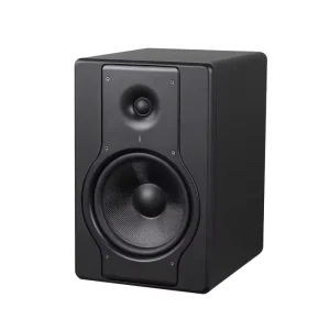 Professional Rayco D5 5 Inch Two Way Wood Studio Monitor Speaker Pair Portable Durable for Studio Use and Music Recording