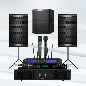 Professional Stage Performance Full Set Karaoke Speaker Home Theater 8 Inch Hi Res Audio Clear Bar Karaoke Sound System Wood