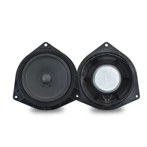 Professional Supplier TANBX 6 Inch Coaxial Car Audio Speaker System for Feng Tian Models 12V