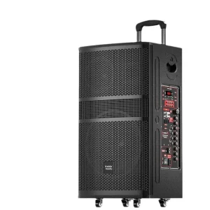 Professional Trolley Speaker 80W 8 Inch Woofer with Dual UHF Wireless Microphones Bluetooth TWS Outdoor Performance and Meeting