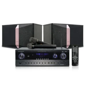 Professional home karaoke 10-inch audio equipment system KTV speaker set wireless microphone USB TB