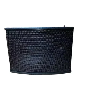 Professional pa System Set Subwoofer Karaoke Bookshelf Speaker for Home Theater System