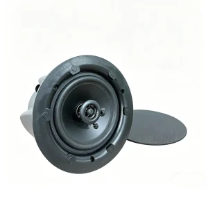 Public Address Speaker Frameless Commercial Ceiling Speaker 30W Adjustable 100V 8Ohm for Hotel School Supermarket