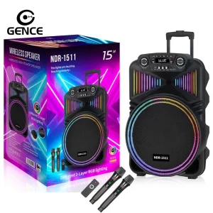 Pull Rod Speaker 15 Inch with Dual Wireless Mic RGB Light Battery Aux TWS Plastic Cabinet for Outdoor Party Karaoke
