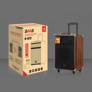 Q12 Trolley Speaker 12 Inch Professional Wireless USB Karaoke Multifunctional DJ System Home Outdoor Party Computer DC