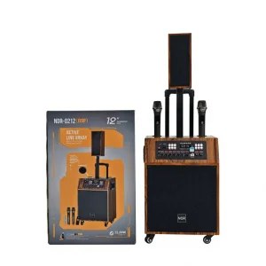 Q212 12 Inch Wooden Line Array Karaoke Bluetooth Speaker with 2 Mics Woofer PA Speaker with DSP for Stage & Party Events