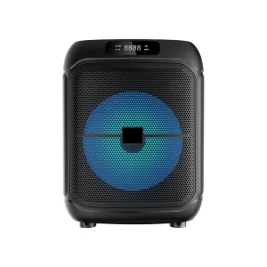 RAYSOUNDS 8 Inch 20W Portable Speaker for Home Outdoor Parties with 2 Microphones and LED Light