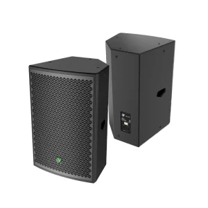 RMS 500W 15 Inch Passive PA Speakers with 102dB Sensitivity and 100×70 Directivity