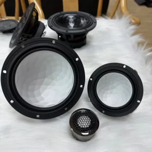 Rated Power 50W-300W Classic Car Speaker Speakers for Car Car Bluetooth Speaker Wall Car Speaker Horn Coil
