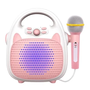 Rechargeable Portable Karaoke Speaker Amplifier for Microphone Memory Card Home Use ABS Material High Frequency Response