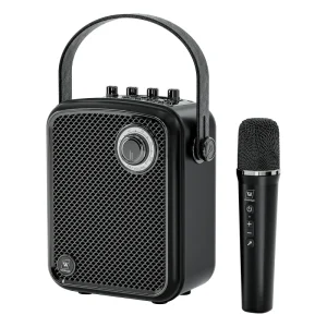 S100 Wireless Portable PA Speaker for Instrument, Clear Sound