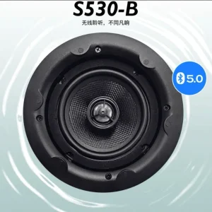 S530-B Home Audio 20W Stereo Sound 5 Inch Wireless Ceiling Speaker Active