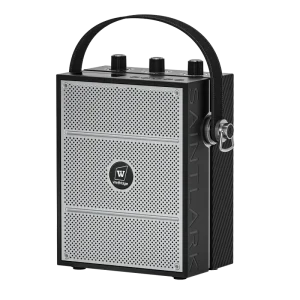 S98 40W PA Speaker Built in Microphone Rechargeable Battery For Outdoor