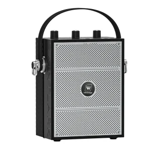 S98 Wireless Voice Amplifier With Headset Microphones