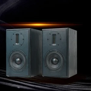SAMTRONIC 5.25 Inch HIFI Passive Speaker 100W*2 Output Power 4 Inch Ribbon Tweeter Stereo Home Stereo Wooden Bookshelf Speaker
