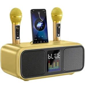 SD318 5.0 Speaker Karaoke Microphone Combo 2 Microphones RGB LED Lighting Built-in Battery Display Screen Wireless TV Connection