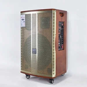 SK 8615A High Power 15 Inch DJ Speaker with Wireless Microphone Mini Wooden Karaoke Machine