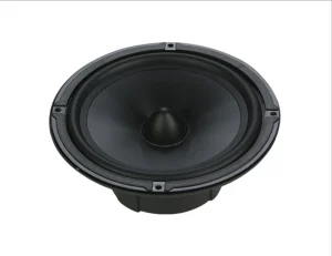SQ RS6 Car Speaker 40w RMS REAL POWER