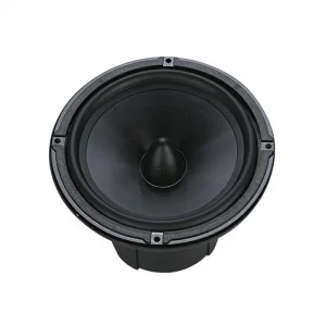 SQ RS6 Single Coil Car Speaker 40W RMS POWER Car Audio Systems