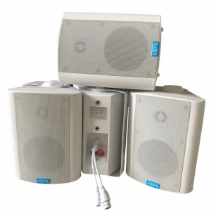 School Classroom Conference Room Hotel Mosque IP PA Public Address System POE Indoor Wall-mounted Speaker 30 to 120W
