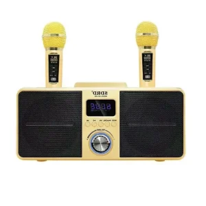 Sd309 Custom Subwoofer Desktop Bluetooth Speaker with Wireless Microphone Karaoke