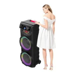 Sing E Factory Direct Supply Subwoofer 10 Inch Big DJ Powered LED Bluetooth Party Speaker with Light