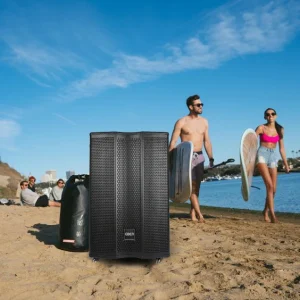 Single 15 Inch High Power Multimedia Karaoke DJ Party Sound Box Trolley Wooden Cabinet Wireless Speakers with FM Radio Speaker
