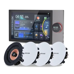 Smart Home Background Music System Tuya 10 Inch Intelligent Central Control Panel Wall Amplifier With 6.5 inch Ceiling Speakers