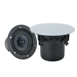 Smart Wireless Hi Fi Ceiling Speaker for Home Theater System Background Music Amplifiers Speaker C75
